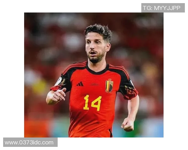 高质量足球明星的崛起与影响力解析及未来发展趋势探讨