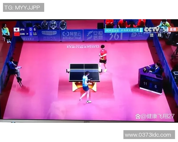 杭州乒乓球队个人能力分析与数据解读助力团队提升表现 杭州乒乓球队个人能力分析与数据解读助力团队提升表现