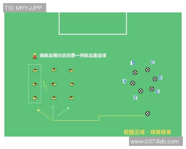 足球完整之道：从基础训练到战术运用的全面解析与实践指南