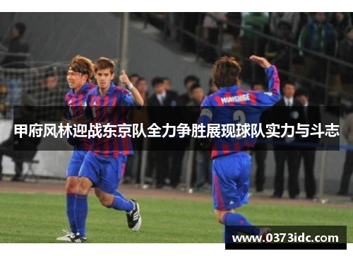 甲府风林迎战东京队全力争胜展现球队实力与斗志